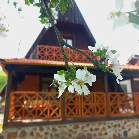 Ferienhaus Ami *